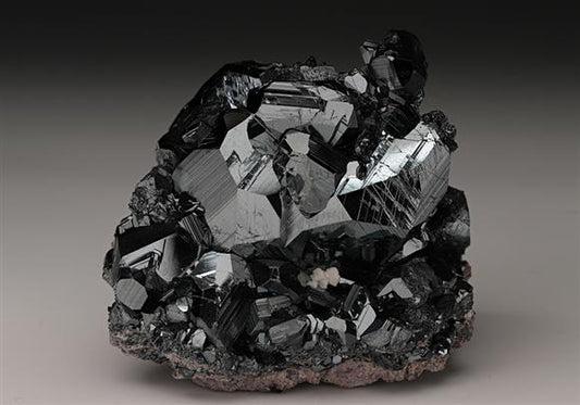 CC14275 specimen image