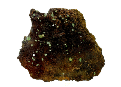CC14282 specimen image