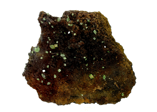 CC14282 specimen image
