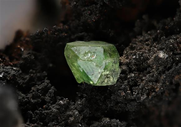 CC14284 specimen image