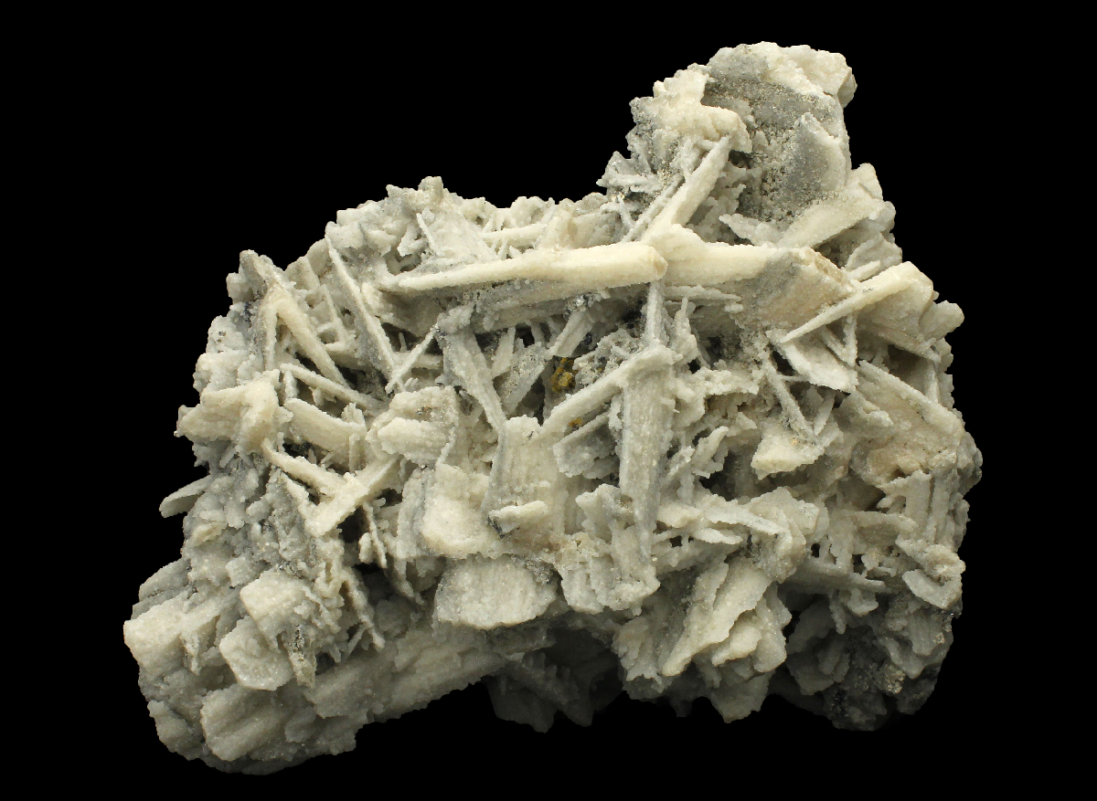 CC14316 specimen image