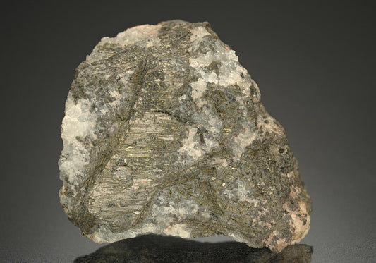 CC14346 specimen image