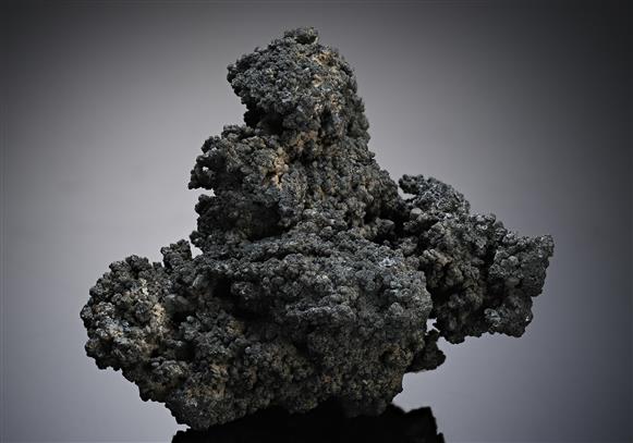 CC14361 specimen image
