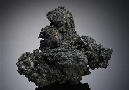 CC14361 specimen image