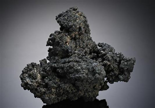 CC14361 specimen image