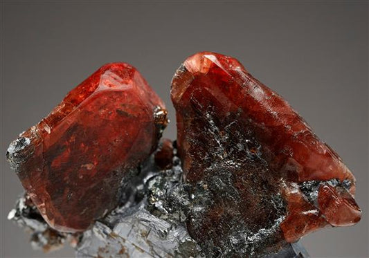 CC14398 specimen image