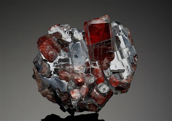 CC14403 specimen image