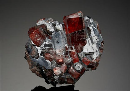 CC14403 specimen image