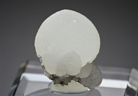 CC14410 specimen image