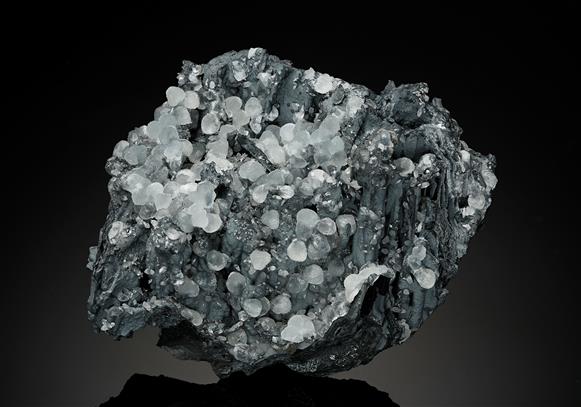 CC14417 specimen image