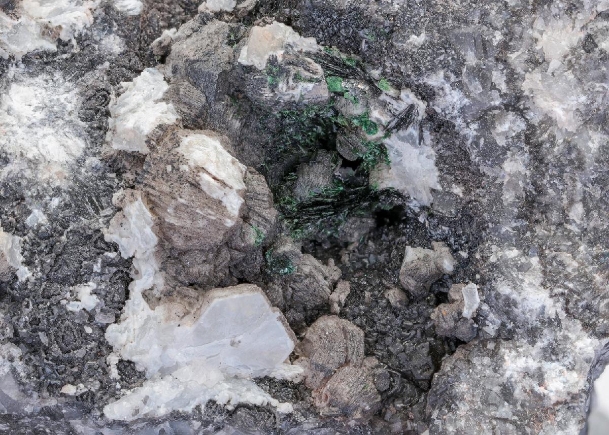 CC14423 specimen image