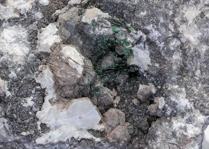 CC14423 specimen image