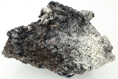 CC14428 specimen image