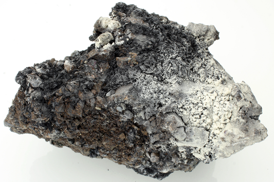 CC14428 specimen image