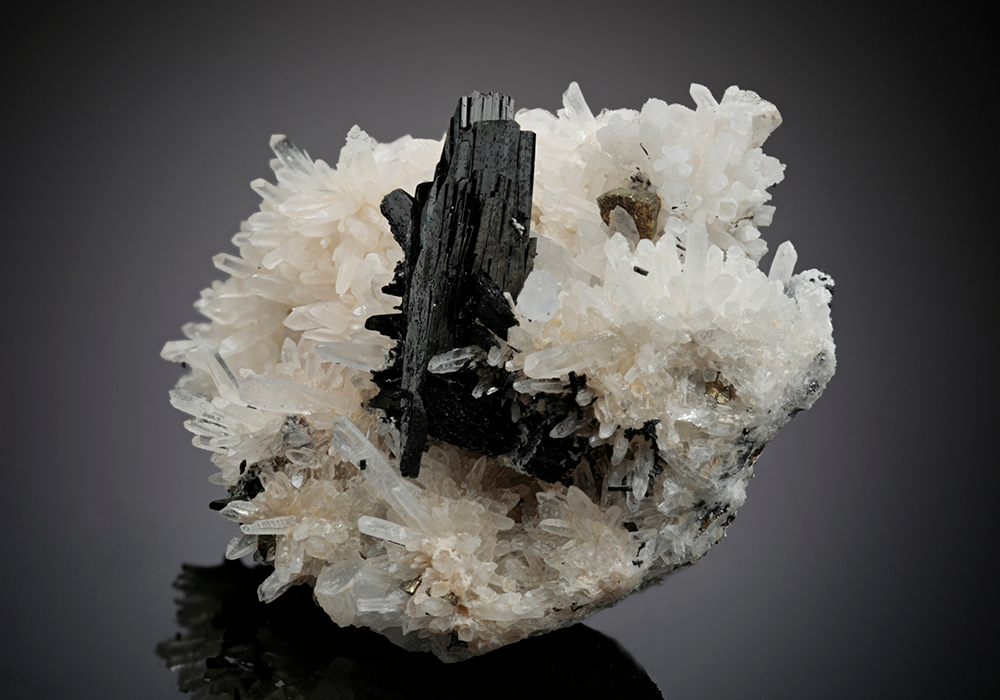 CC14437 specimen image