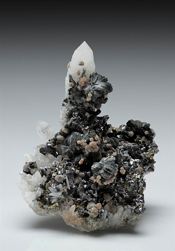 CC14438 specimen image