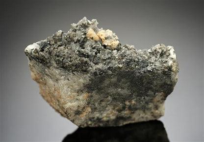 CC14452 specimen image