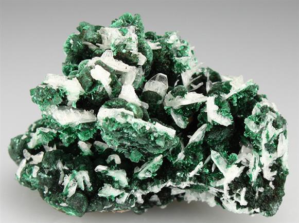CC1447 specimen image