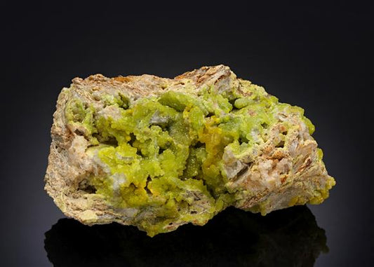 CC14481 specimen image