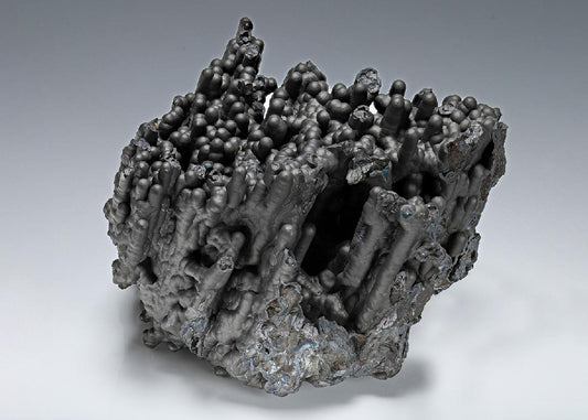 CC14502 specimen image