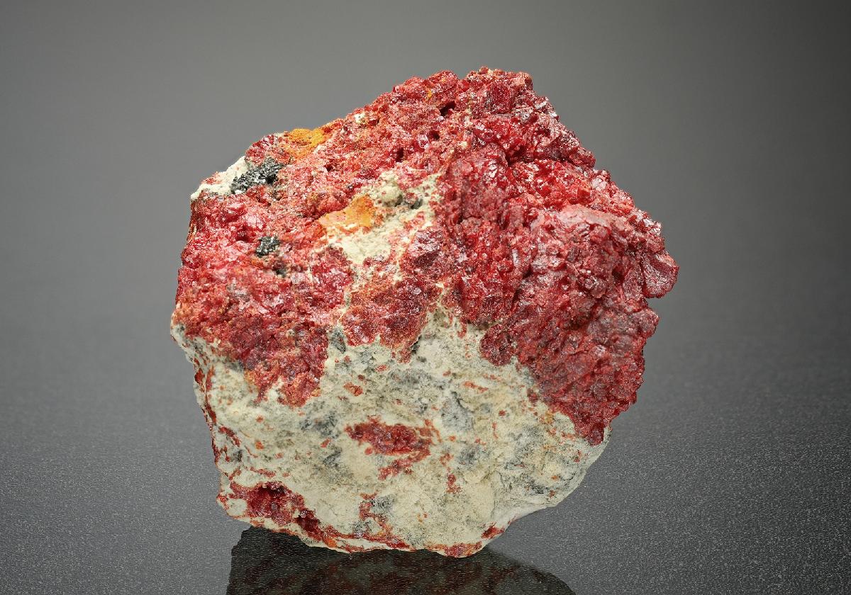 CC14521 specimen image
