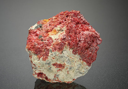 CC14521 specimen image