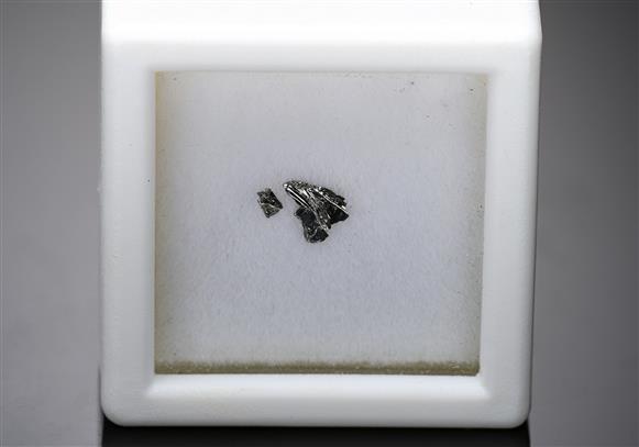 CC14528 specimen image