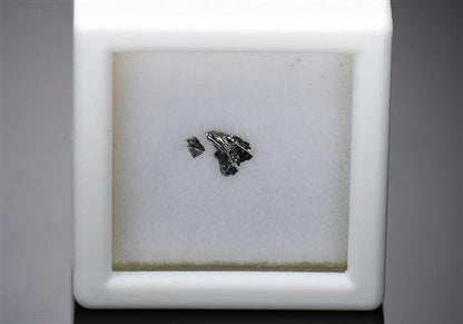 CC14528 specimen image