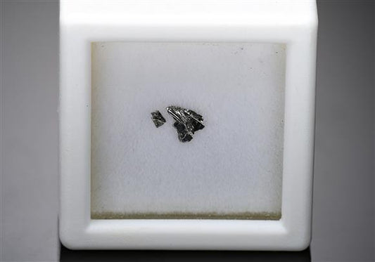 CC14528 specimen image