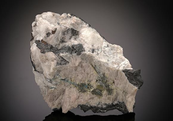 CC14570 specimen image