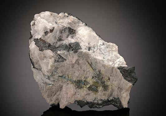 CC14570 specimen image