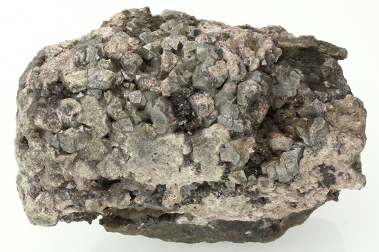 CC14622 specimen image