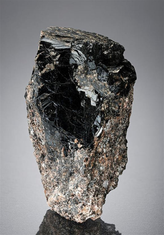 CC14674 specimen image