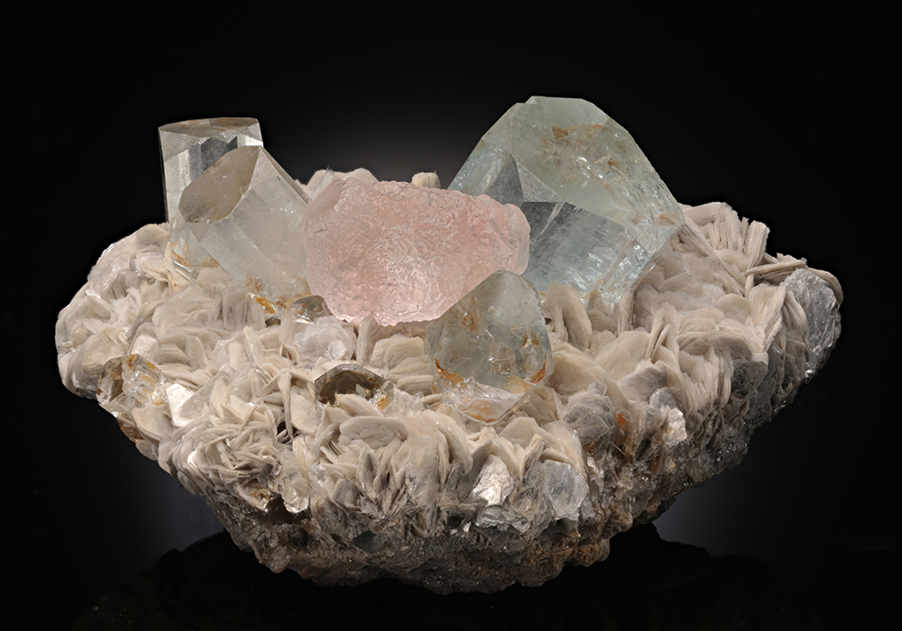 CC14683 specimen image