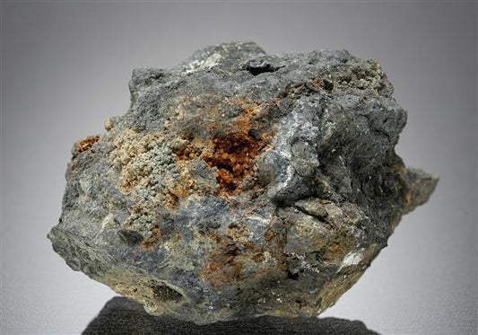 CC14717 specimen image
