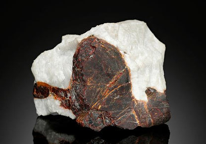 CC14726 specimen image