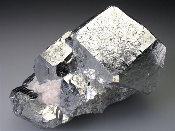 CC1473 specimen image