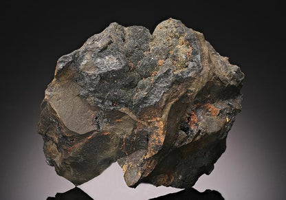 CC14736 specimen image