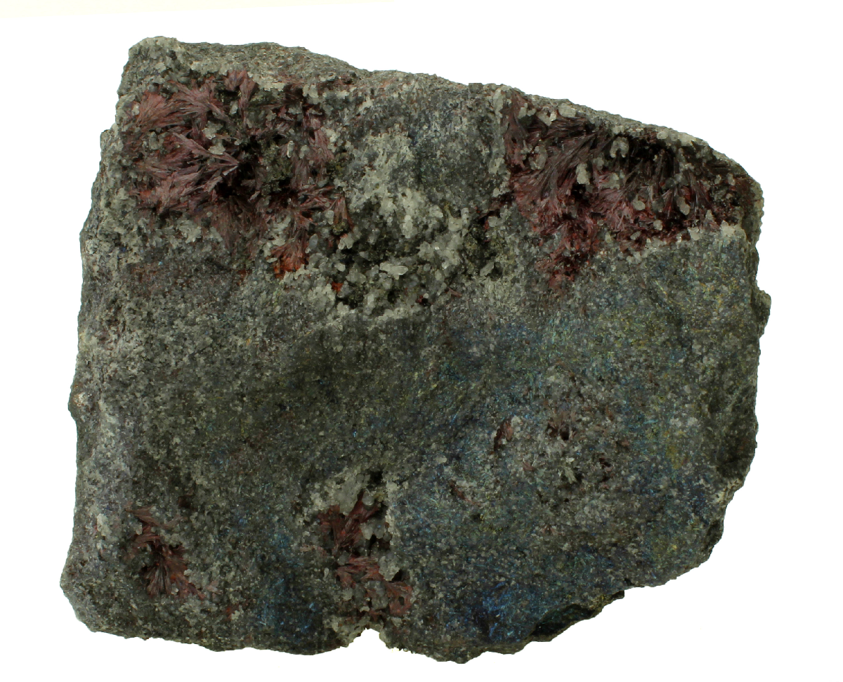 CC14753 specimen image
