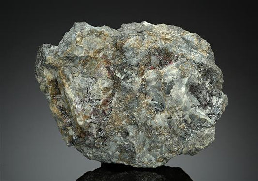 CC14765 specimen image