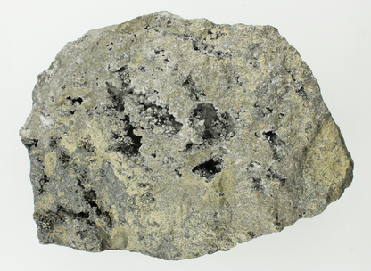 CC14782 specimen image