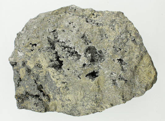CC14782 specimen image