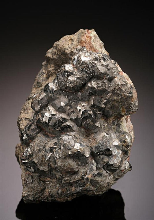 CC14798 specimen image