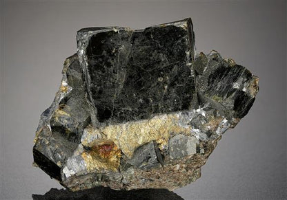 CC14848 specimen image