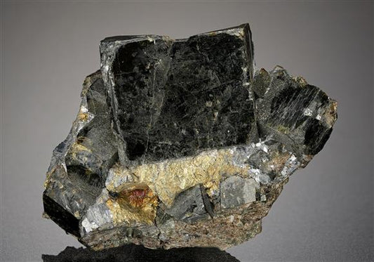 CC14848 specimen image