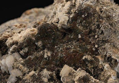 CC14855 specimen image