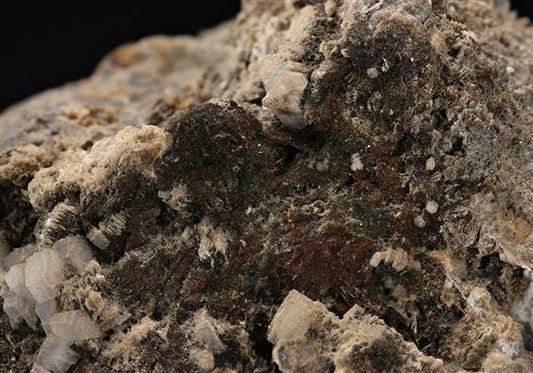 CC14855 specimen image