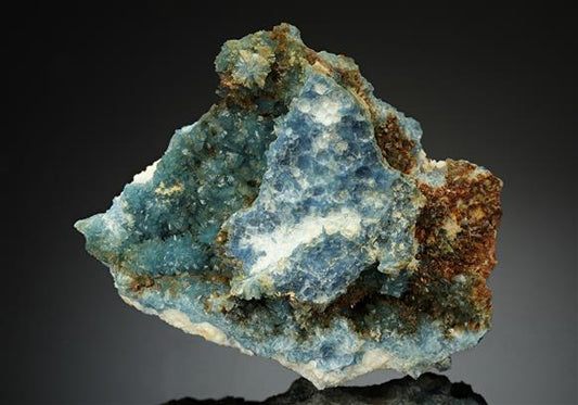 CC14922 specimen image