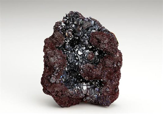 CC14926 specimen image