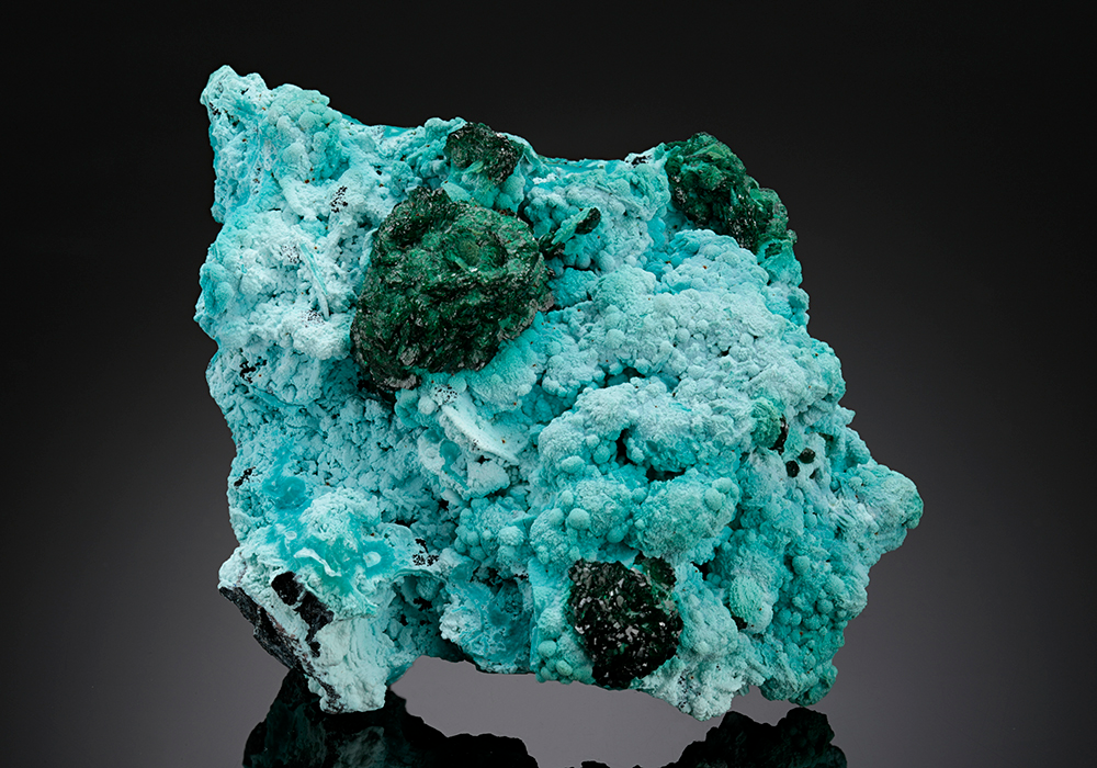 CC14927 specimen image